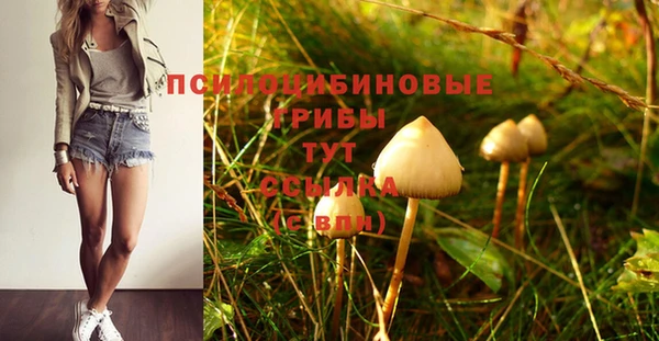 кристаллы Алексин